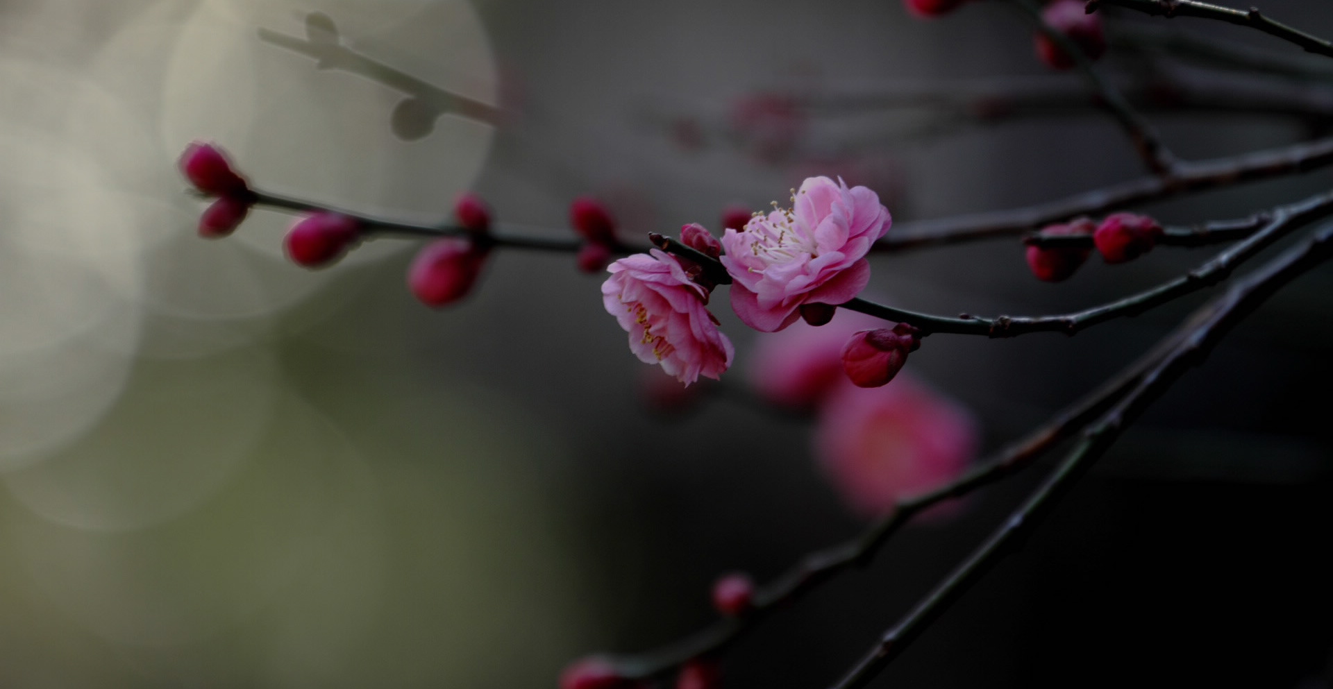 ϵ҂
